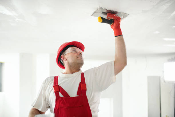 Best Drywall Crack Repair  in Maysville, OK